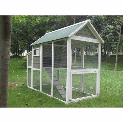Innovation Pet Coops Feathers Superior Hen House At Tractor Supply Co