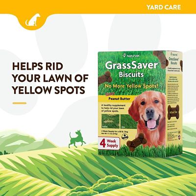 Image showing  GrassSaver Biscuits for Dogs, 11.1 oz.