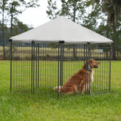 Image showing 7 th Retriever 5 ft. x 4.5 ft. x 4.5 ft. Pet Retreat Portable Dog Kennel