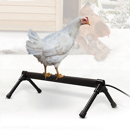 K&H Pet Products 40 Watt Thermo-Chicken Perch, 26 in.
