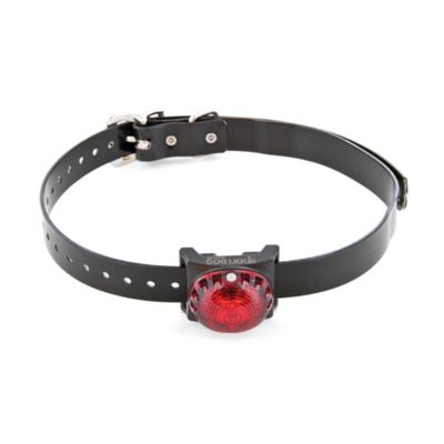 Sportdog Brand Red Locator Beacon Red Compatible With Both 1 Inch And 3 4 Inch Collar Straps Sdlb Red At Tractor Supply Co