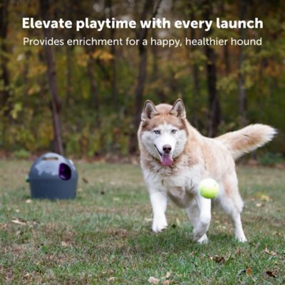 Image showing  Automatic Ball Launcher Dog Toy - Tennis Ball Throwing Machine for Dogs