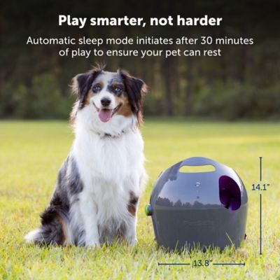 Image showing  Automatic Ball Launcher Dog Toy - Tennis Ball Throwing Machine for Dogs