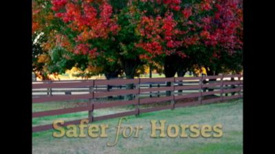 Image showing  330 ft. x 5 in. Flexible Horse Fence Rail, White