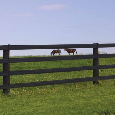 Image showing  330 ft. x 5 in. Flexible Horse Fence Rail, Black