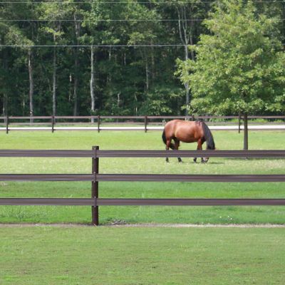Image showing  330 ft. x 5 in. Flexible Horse Fence Rail, Brown