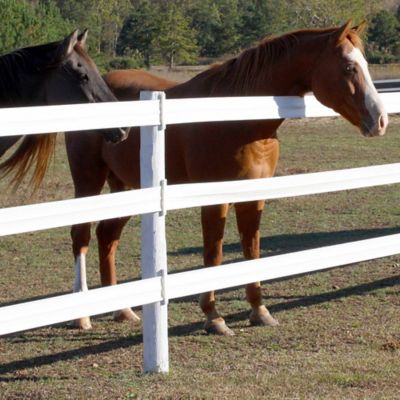 Image showing  Horse Fence Line Post Bracket for CenFlex Fencing Systems