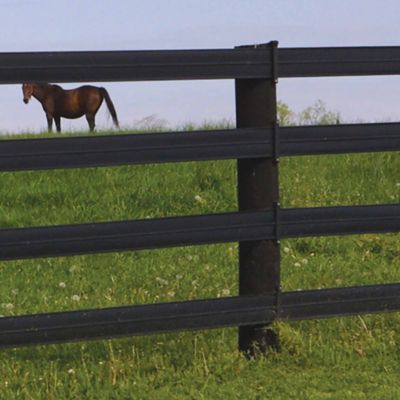 Image showing  Horse Fence Line Post Bracket for CenFlex 5 in. Flexible Rail Bracket