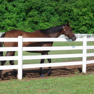 Image showing  Two-Way Double Barrel Tensioner, White