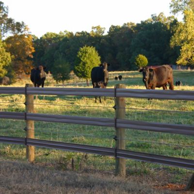 Image showing  1,320 ft. x 1,400 lb. Coated Electric Wire Fence Roll, Brown
