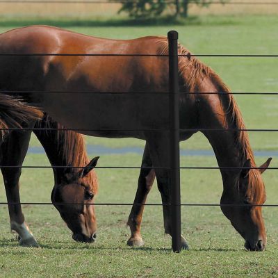 Image showing  1,320 ft. x 1,400 lb. Coated Electric Wire Fence Roll, Brown