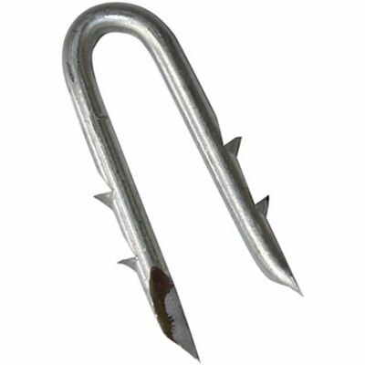 Sure-Fit 1-3/4 in. Galvanized Barbed Staples