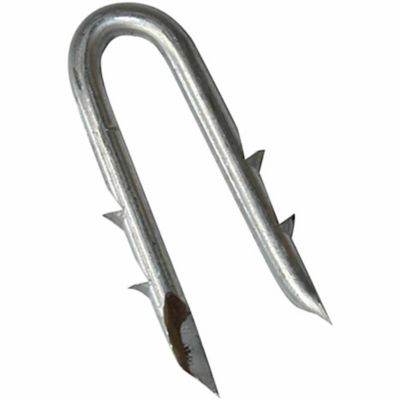 Mazel Nails Brite One-Legged Fence Staples 1# - 1 1/2 - SouthernStatesCoop