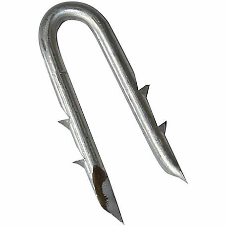 1 inch EG Barbed FAST FREE SHIPPING 6 lbs Fence Staples 