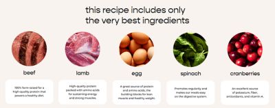 Image showing Deli Fresh Vital Clean Nutrition All Life Stages Grain-Free Fresh Beef and Lamb Recipe Wet Dog Food, 5.5 lb.