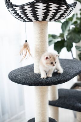 Petpals Ace Cat Condo At Tractor Supply Co