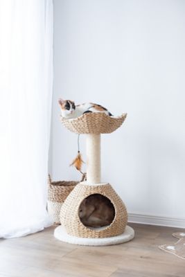 Image showing  Walk-Up Natural Rope Cat Condo, 19 in. x 19 in. x 29 in.