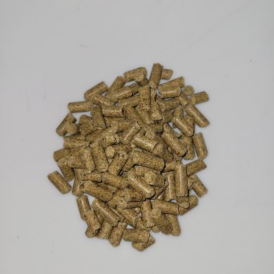 Image showing  Peppermint Flavor Nuggets Horse Treats