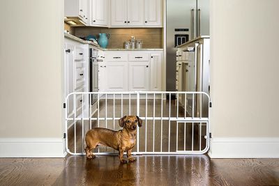 Carlson Lil Tuffy Expandable Pet Gate, 26 in. to 38 in.