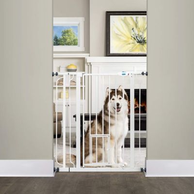 Carlson Extra Tall Walk Through Metal Pet Gate 30 in. to 40 in. W at Tractor Supply Co