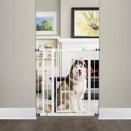 Carlson Extra Tall Metal Pet Gate 30" to 40" Wide Pet Gates