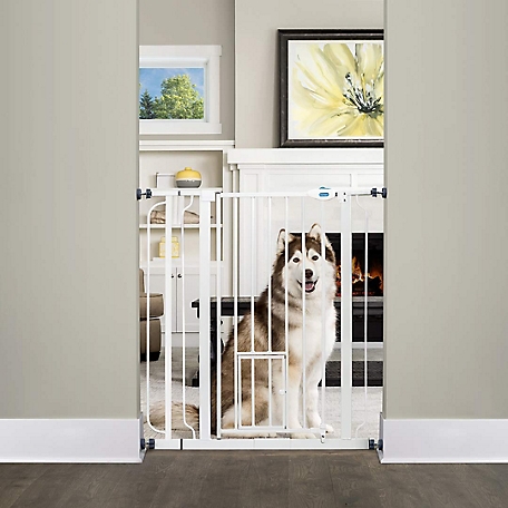 Carlson Extra Tall Walk-Through Pet Gate, 30 in. to 40 in.