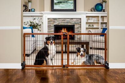 Image showing Carlson Extra Tall Extra Wide Design Paw Freestanding Metal Pet Gate, 40 in. to 70 in.