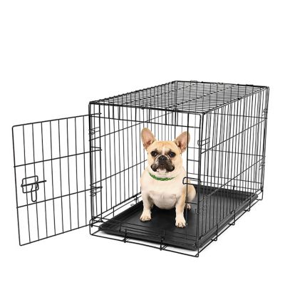 Carlson Secure 1-Door Steel Dog Crate, 24 in., Small Decent pet crate