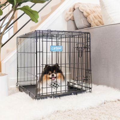 Image showing 8 th Carlson Pet Products Secure 1-Door Steel Dog Crate, 24 in., Small