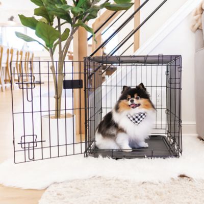 Image showing 9 th Carlson Pet Products Secure 1-Door Steel Dog Crate, 24 in., Small