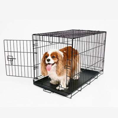 Carlson Secure 1-Door Steel Dog Crate, 30 in., Medium