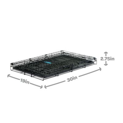 Image showing 6 th Carlson Pet Products Secure 1-Door Steel Dog Crate, 30 in., Medium