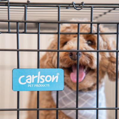 Image showing 9 th Carlson Pet Products Secure 1-Door Steel Dog Crate, 30 in., Medium