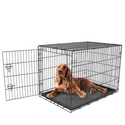 Carlson Secure 1-Door Steel Dog Crate, 36 in., Intermediate