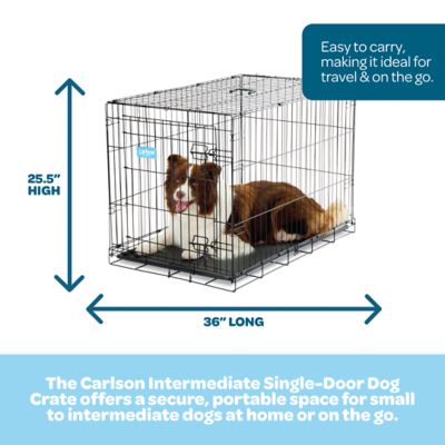 Image showing Carlson Secure 1-Door Steel Dog Crate, 36 in., Intermediate