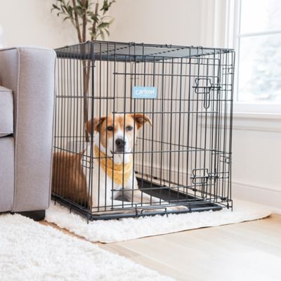 Image showing Carlson Secure 1-Door Steel Dog Crate, 36 in., Intermediate
