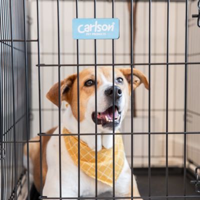 Image showing Carlson Secure 1-Door Steel Dog Crate, 36 in., Intermediate