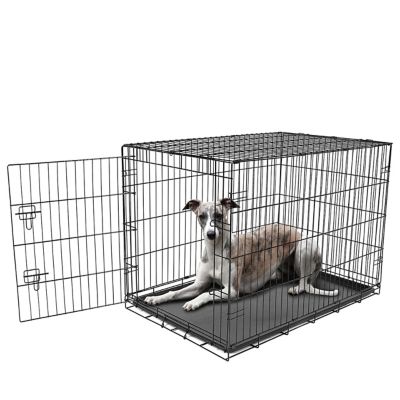 Carlson Secure 1-Door Steel Dog Crate, 42 in., Large