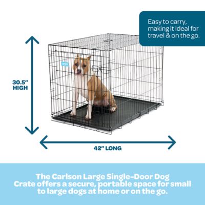 Image showing  Secure 1-Door Steel Dog Crate, 42 in., Large