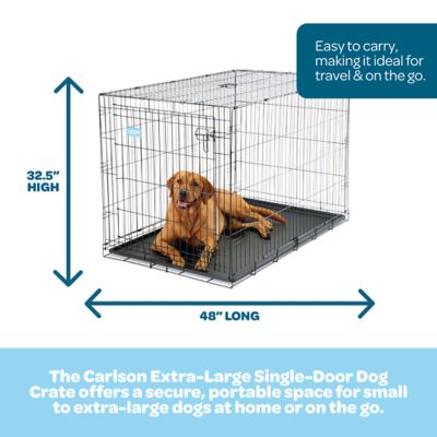 Image showing Carlson Secure 1-Door Steel Dog Crate, 48 in., Extra Large
