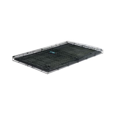 Image showing 6 th Carlson Pet Products Secure 1-Door Steel Dog Crate, 48 in., Extra Large