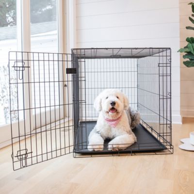 Image showing 7 th Carlson Pet Products Secure 1-Door Steel Dog Crate, 48 in., Extra Large