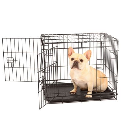 Carlson Secure 2-Door Steel Dog Crate, 24 in., Small