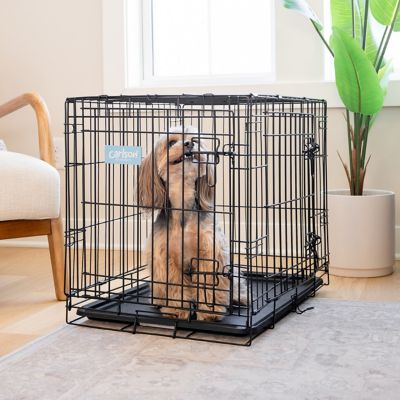 Image showing 7 th Carlson Pet Products Secure 2-Door Steel Dog Crate, 24 in., Small