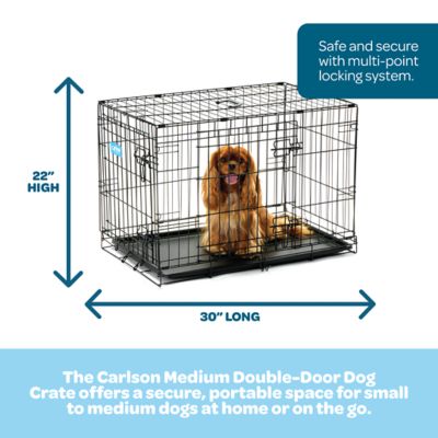 Image showing Carlson Secure 2-Door Steel Dog Crate, 30 in., Medium