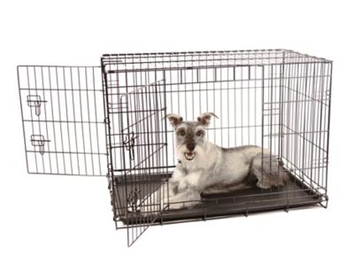 Carlson Secure 2-Door Steel Dog Crate, 36 in., Intermediate