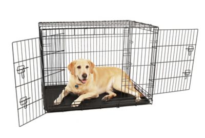 Carlson Secure 2-Door Steel Dog Crate, 42 in., Large