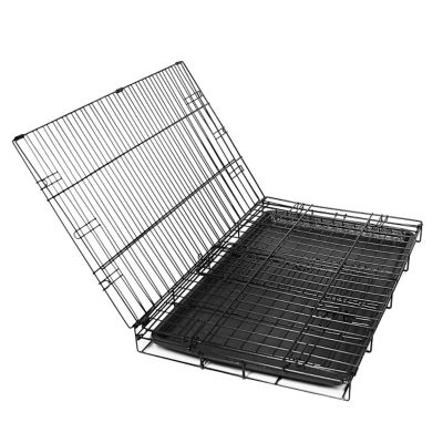Image showing Carlson Secure 2-Door Steel Dog Crate, 42 in., Large