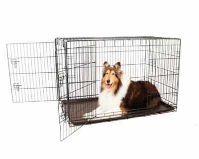extra tall dog crate