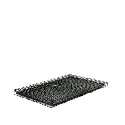 Image showing 7 th Carlson Pet Products Secure Double-Door Dog Crate, Extra-Large